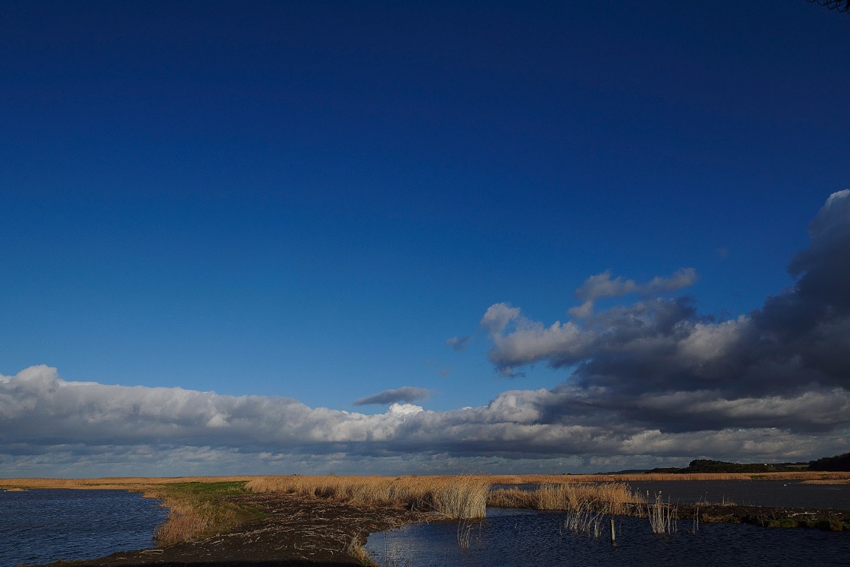 Cley 27/02/20