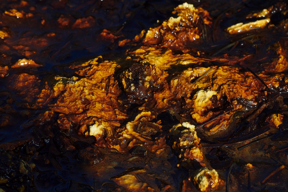 Iron Sulphate Deposits - Dersingham Bog 29/02/20