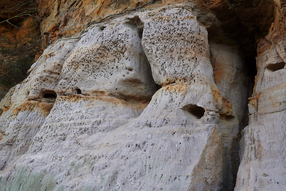 Sand Cliffs - Dersingham Bog 29/02/20